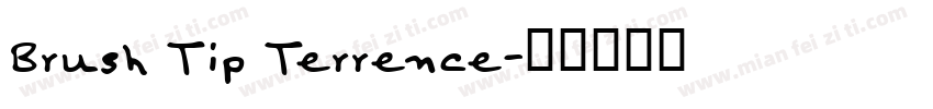 Brush Tip Terrence字体转换